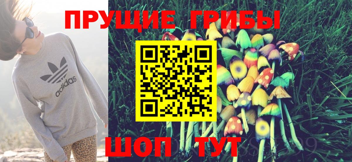 даркнет сайт  Псилоцибиновые грибы Psilocybine cubensis  Вход с VPN  Усть-Илимск 